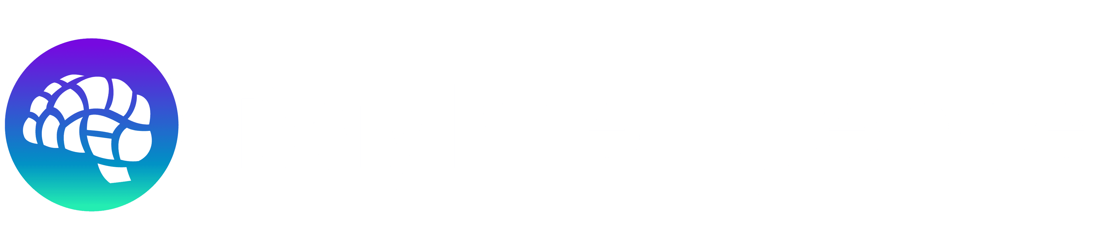 RayIntelligence